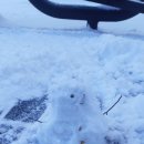 낭만강아지 이미지