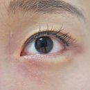 르사(LSA) 이미지