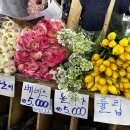 플로리스트(야) | [일상]남대문 꽃시장 방문기록