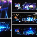 새들 노래연습장 이미지