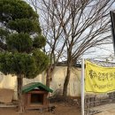 해솔바다향기 네이버블로그