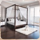 행운켄넬 | 경산 강아지보호센터에서 만난 초코 첫날 밤 울음의 이유와 우리가 함께한 적응기