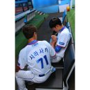 야구 삼성 라이온즈 덕아웃에 들어온 승리요정 고양이 이미지