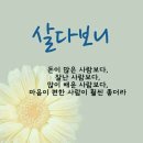 09월 23일(월) 신문을 통해 알게된 이야기들 이미지