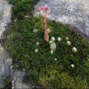 큰골민박 이미지