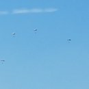 코다리하우스(HOUSE) 이미지