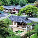 산수싸리 | [백파] 2022-퇴계 선생 마지막 귀향길 700리 종주이야기 (14) ☆ 도산서원 ☆