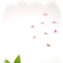 맑은사람들 이미지