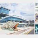 다누리센터 아쿠아리움 이미지