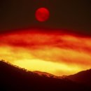 캘리포니아 이미지