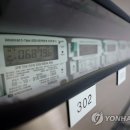 팔마미용실 이미지