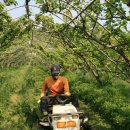 시원농장 이미지