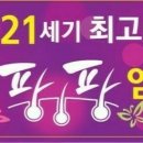 염색팡팡 이미지