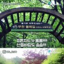 바다의 숲속 이미지