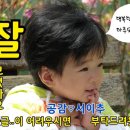 세라네집 이미지