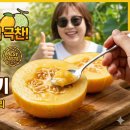 햇님농장 | 🥭 '냉부해2' 입짧은햇님 극찬! 망고참외 파는 곳 &amp; 맛 후기 (씨앗/수확시기/보관법 총정리)
