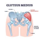 PT의 정석 운동재활센터 이미지