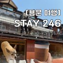 [양평] 양평 용문 가성비 숙소 STAY 246 A102호 내돈내산 솔직후기 | 양평 용문 감성 숙소 추천