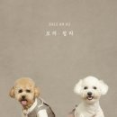 적담재 이미지