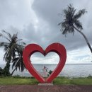 신지카서비스 | 괌 여행 정리 (10월 말 우기)