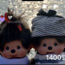 뉴스프레드 | 기어코 여름 🪸