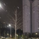 교촌치킨 율량점 이미지