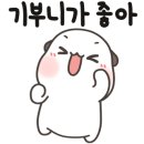 슈퍼텐트칼라 이미지