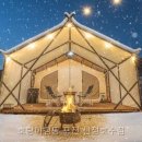 호랑이캠핑