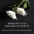 완도해돋이