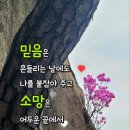 꽃길만