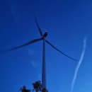 구름뜬하늘 | 달랏 산마이 구름사냥 실패후기