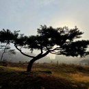 충희공 이인손 묘 이미지