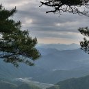 모운동길 이미지