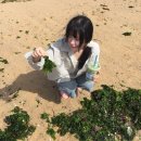 밤골하우스 | 속초와 피로누적,복숭아 ?