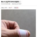 ㅈ소식 대일밴드 이미지