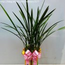 한국전력공사 안양지사 이미지