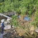 두지리 세천 이미지