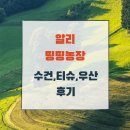 우신농장 | 알리 띵띵농장 수건 티슈 우산 후기 (빨리 받는 팁)