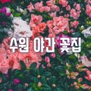 한솔꽃직매장 | [수원] 수원야간꽃집 찾기 (부제 : 수원에서 밤늦게 꽃을 구입하려면/ 수원꽃자판기)