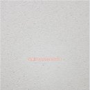 세종바이오 이미지