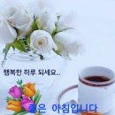 카월드 이미지