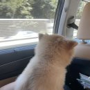 스테이 감도 이미지