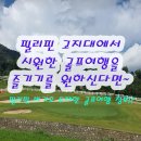파인골프 | [필리핀 바기오 골프]해발 1,500m 초가을 날씨 파인우드cc 무제한 골프 라운딩 후기