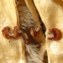 봉서중학교 이미지