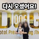 원독 | 세종시 원독 말티푸 분양 후기, 상담 못드렸는데 다시 찾아와 주신 날 딸이 인연을 만났어요