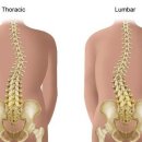휘트니스메이트 이미지
