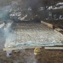 초하식품