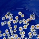 홍천산골놀이터 이미지