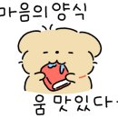 충무로맛집강릉장칼국수&보쌈