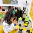 또옴 | 국립과천과학관 「과학이 또옴」 교육과정 참가 후기